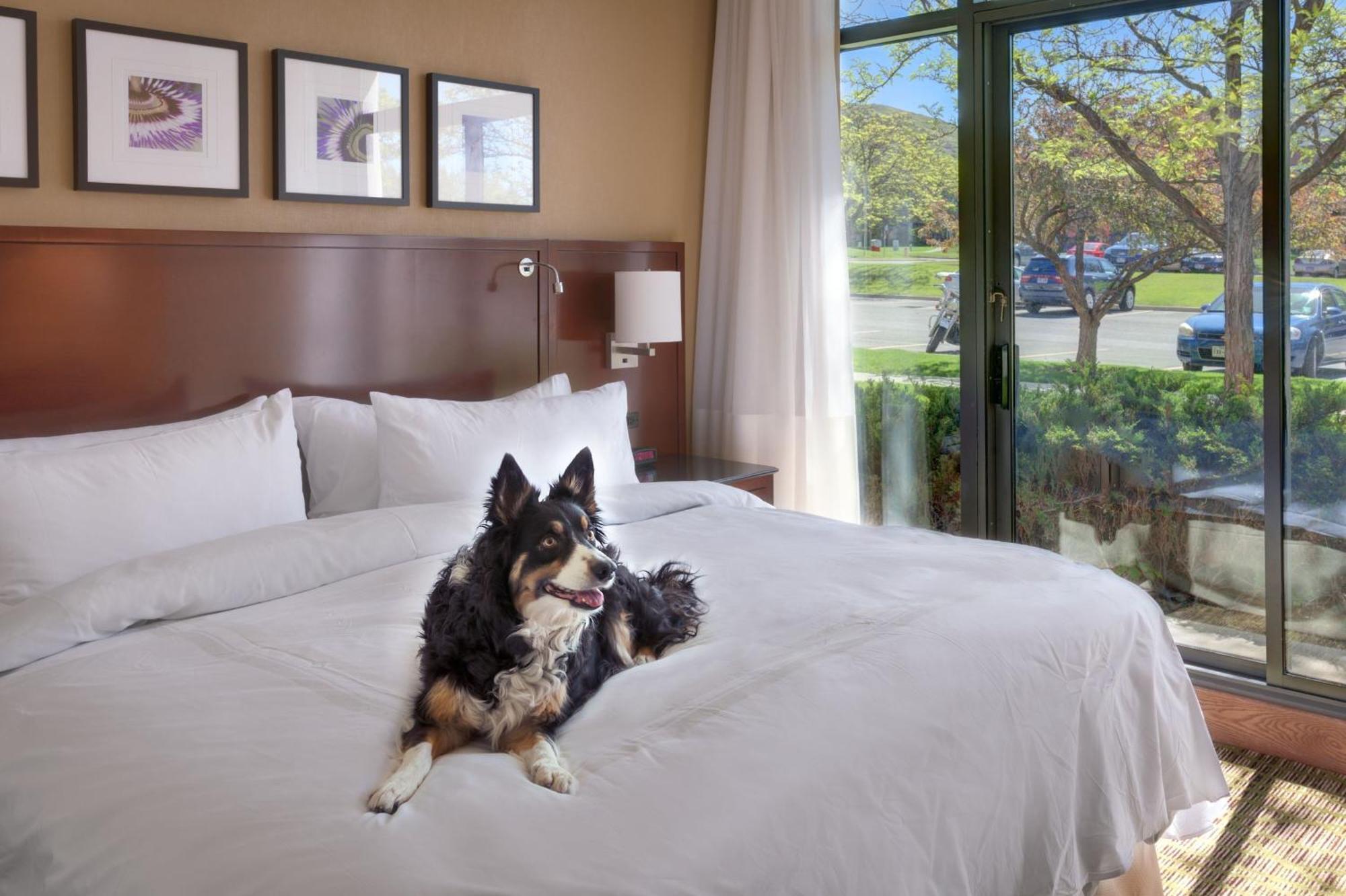 Salt Lake City Marriott University Park Esterno foto